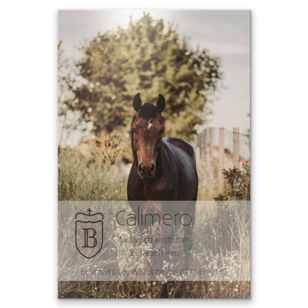 stallschild für pferde mit eigenem foto und text - alu dibond 20x30
